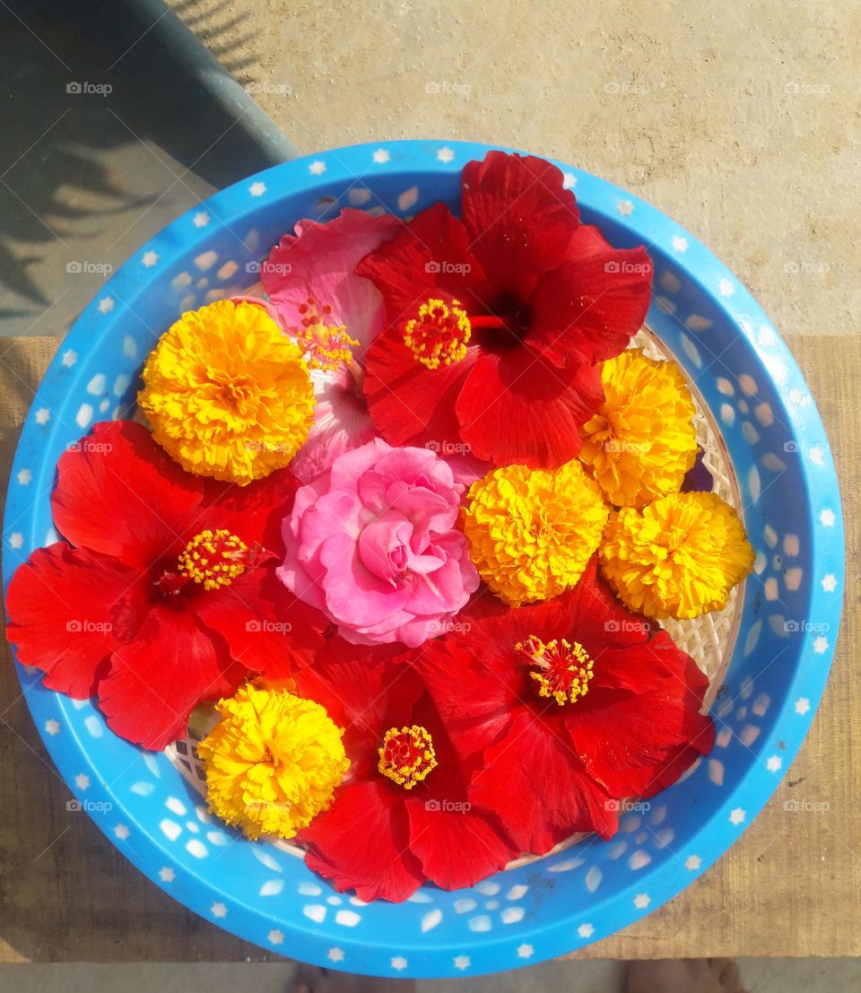 beautiful flowers that I plucked from my garden