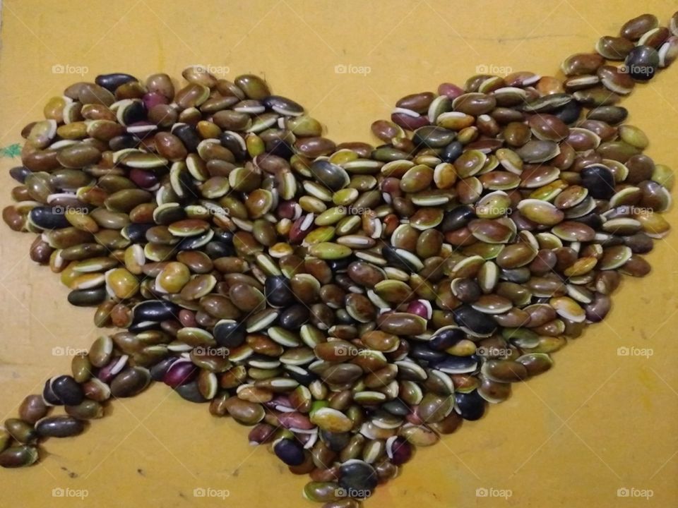 Valentine's day picture