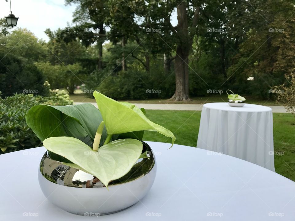 Belvedere, a luxury park restaurant, Lazienki Krolewskie, Warsaw