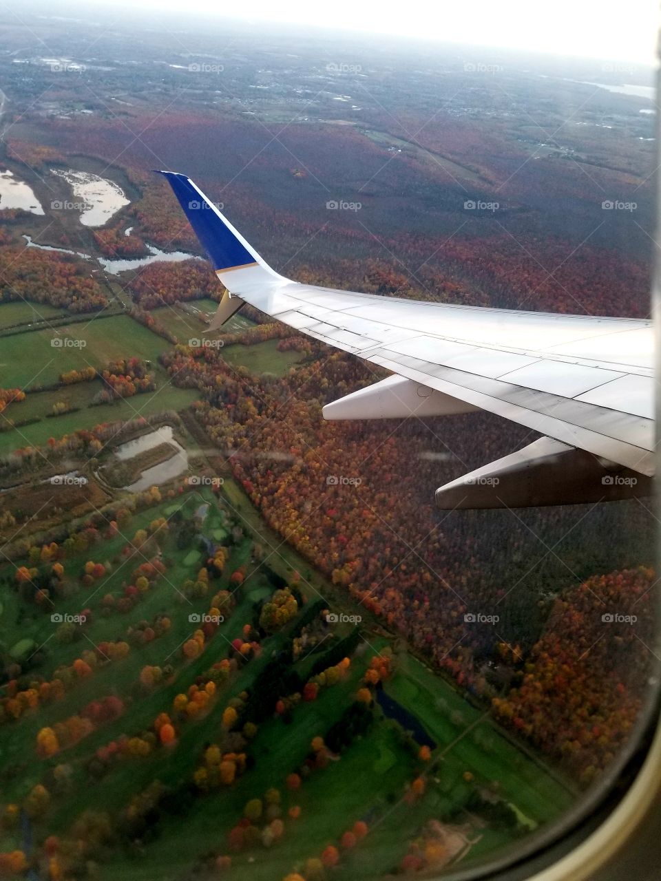 beautiful fall flying