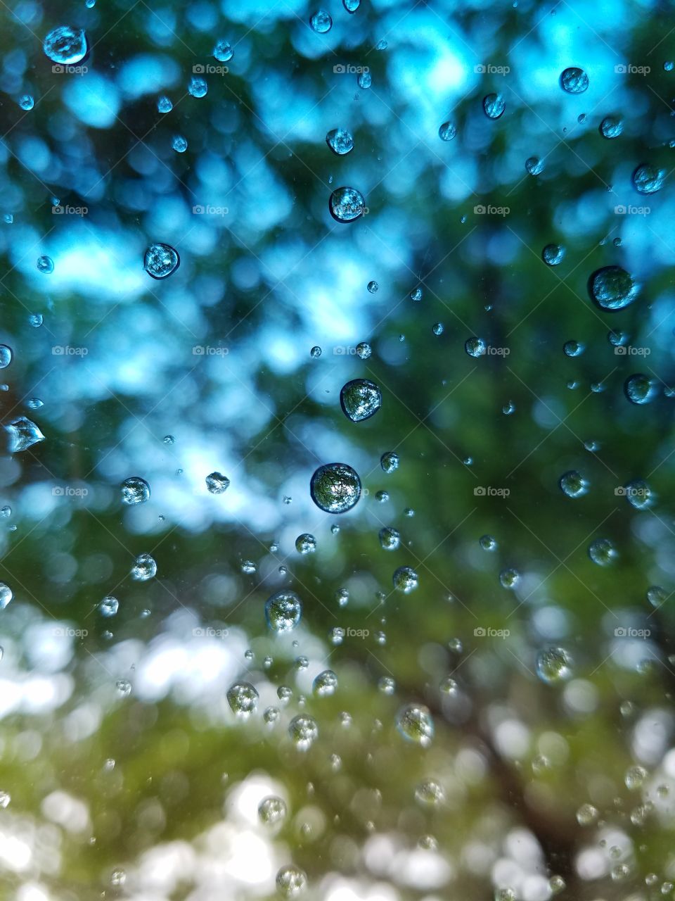 Raindrops on windshield