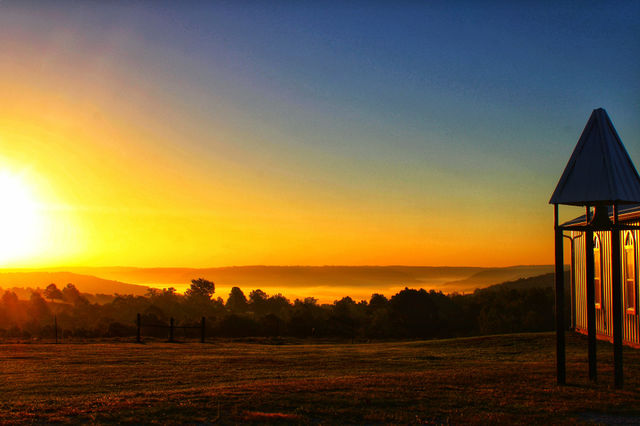 Morning Sunshine