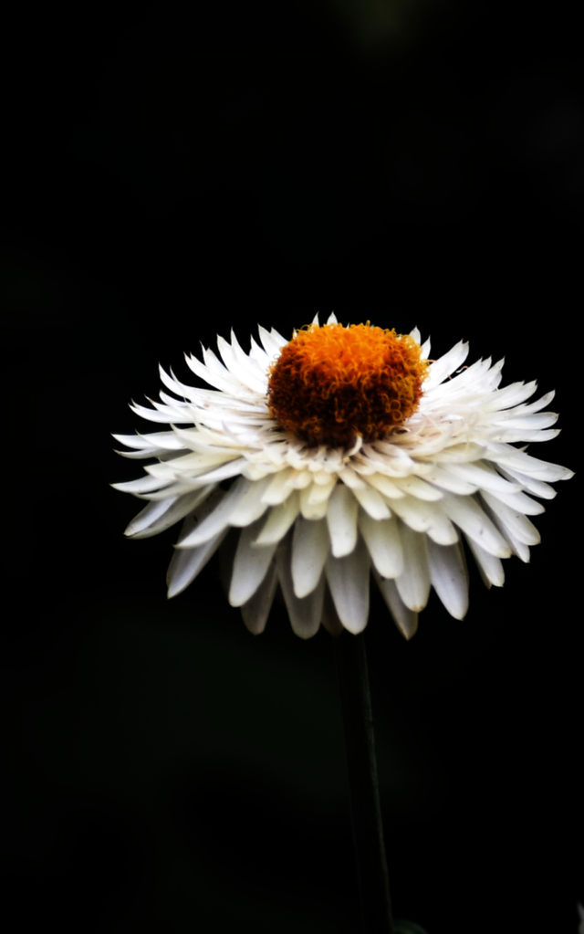 serene photos