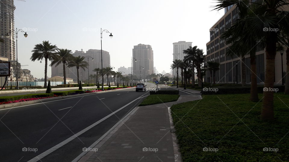 Street with beautiful landscaping/ early morning/ High-rise building