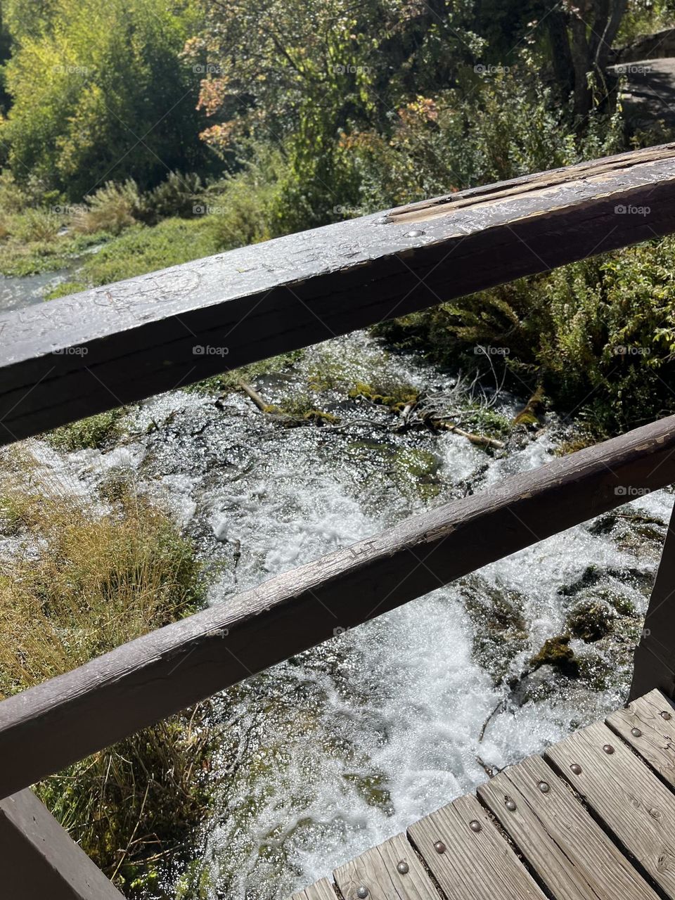 Beautiful picture of nature 