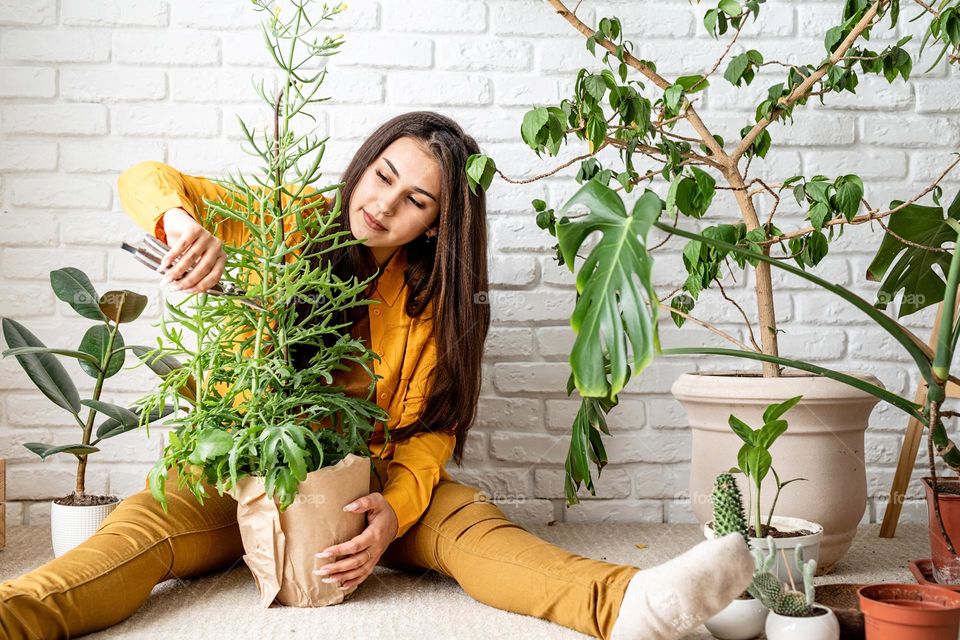 woman planting plant