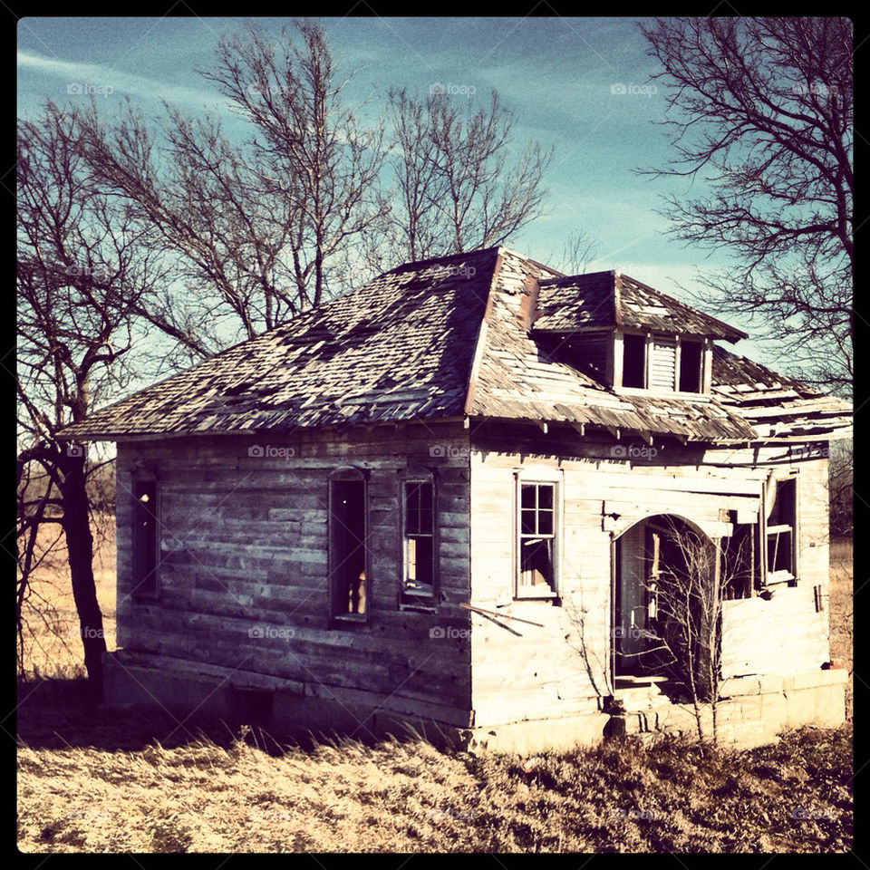trees house empty broken by alicia77826