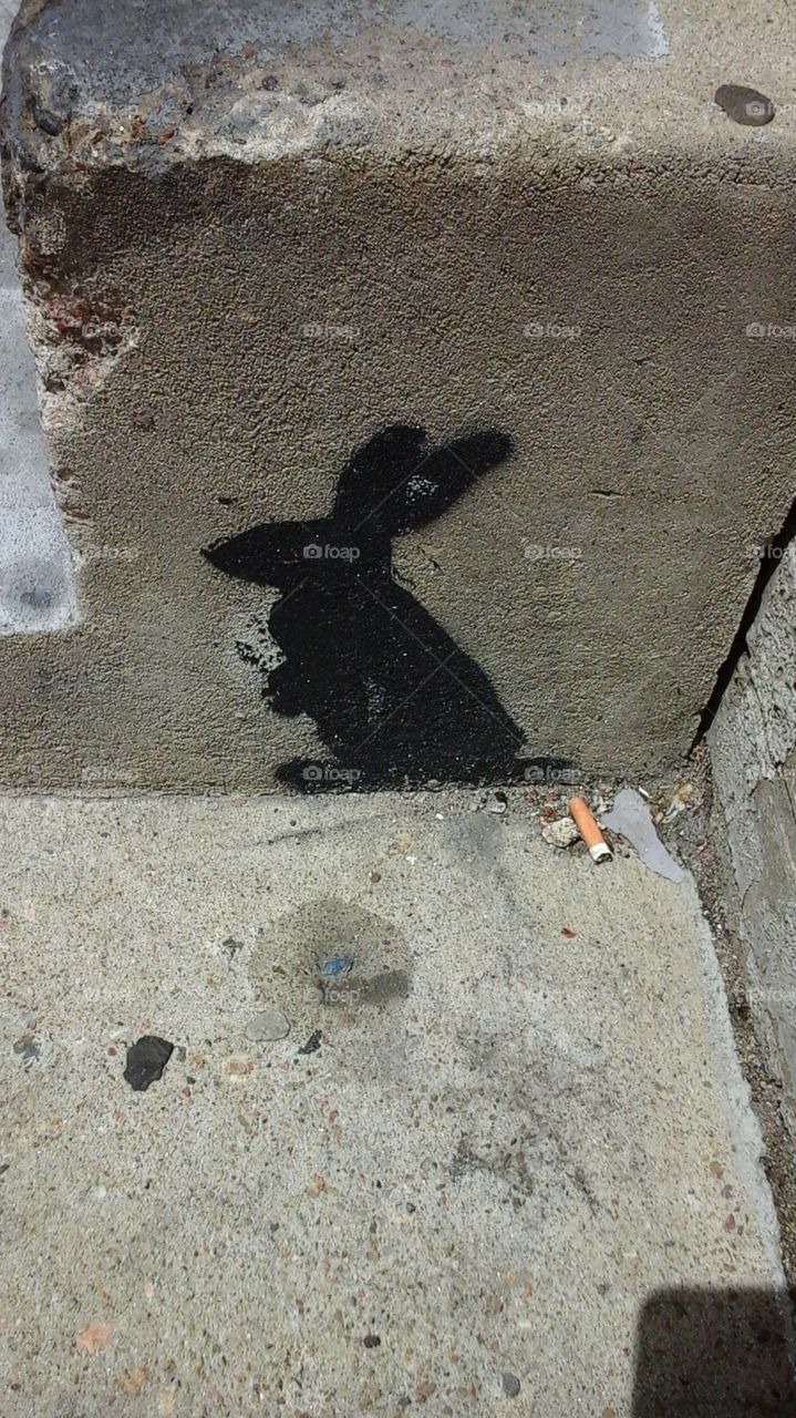 follow the black rabbit