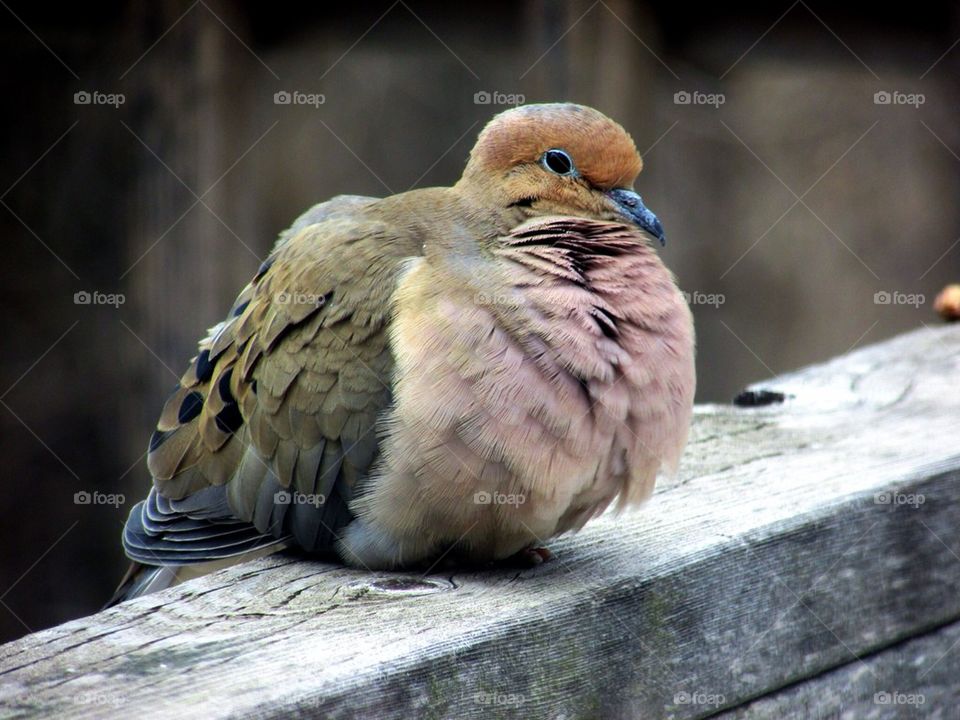 Relaxing for a while