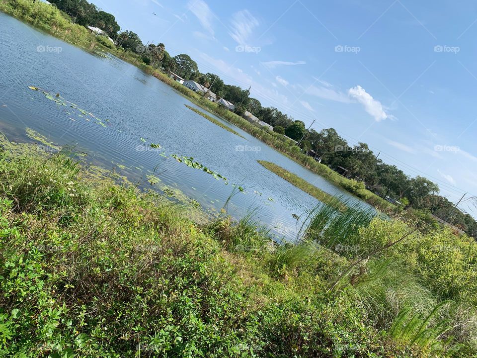 Urban Nature Water At The Draa Field Stormwater Park In The City For The Ecosystem To Provide A Water Quality Benefit To The Indian River Lagoon And To Reduce Flooding Within The Basin, In Florida.