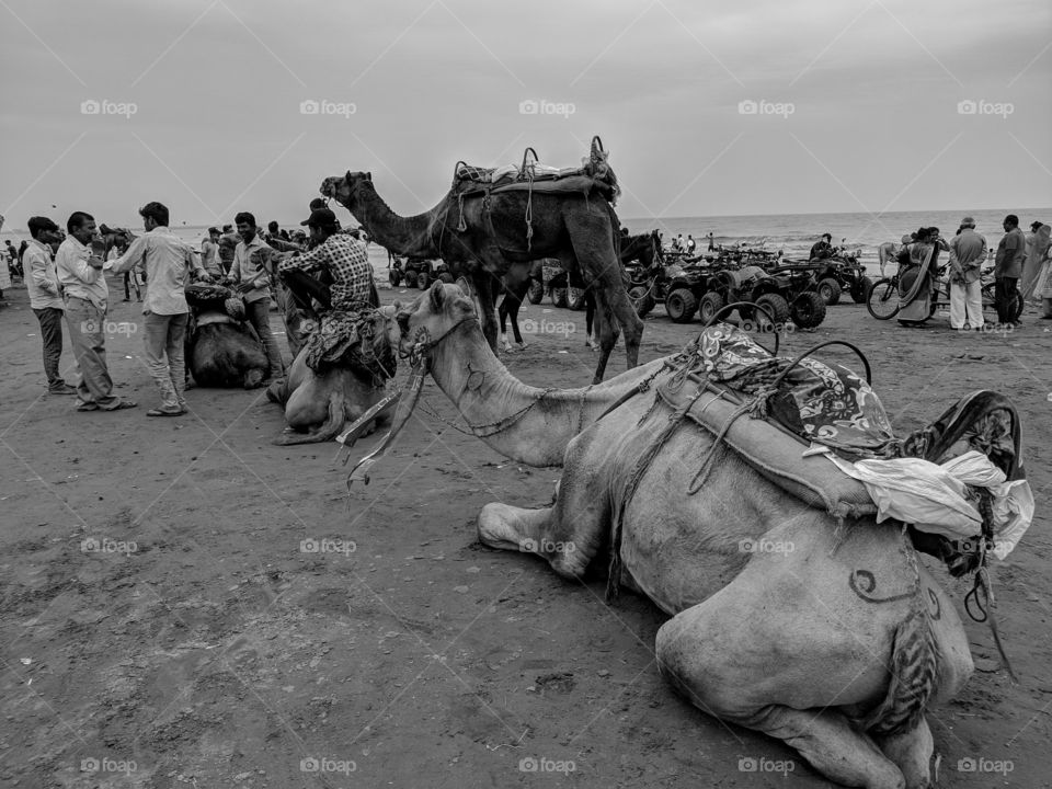 dumas beach, surat, gujarat, india