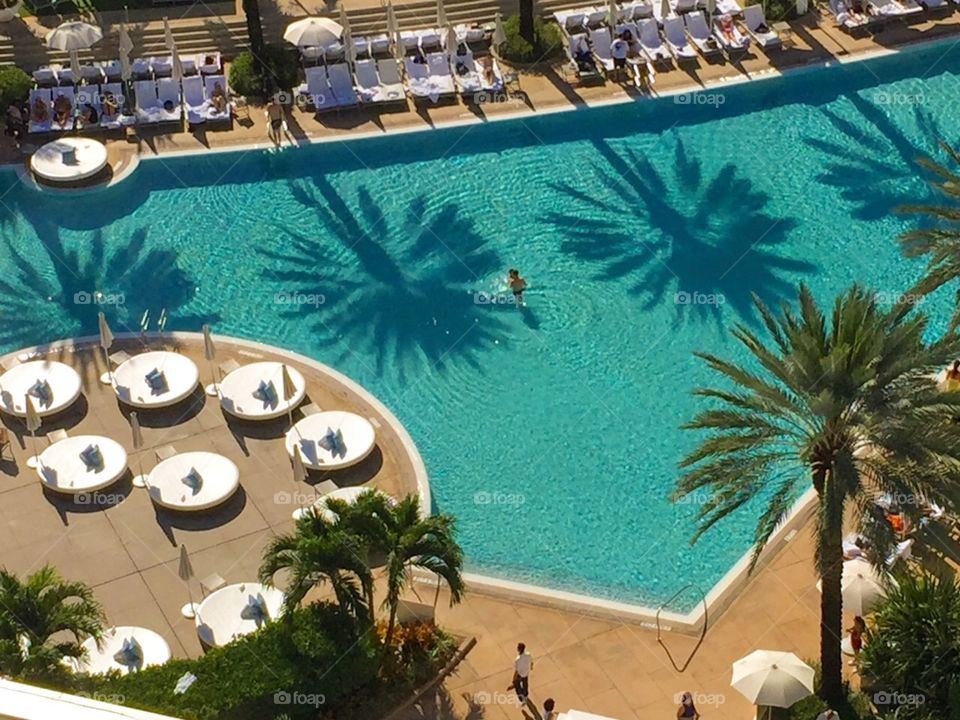 Swimming pool. Resort swimming pool seen from above, Miami Beach, Florida, USA 