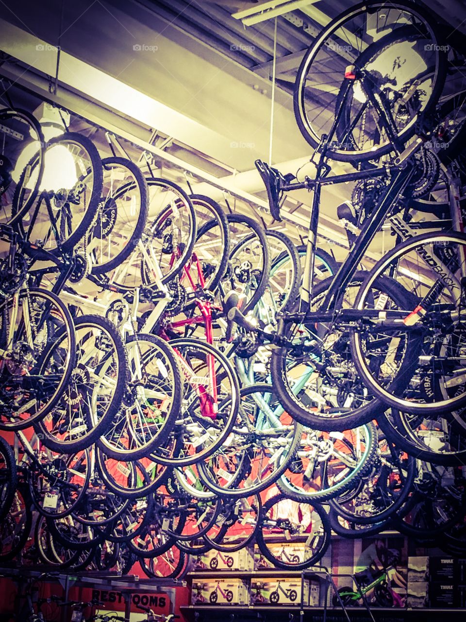 Bikes on the ceiling 
