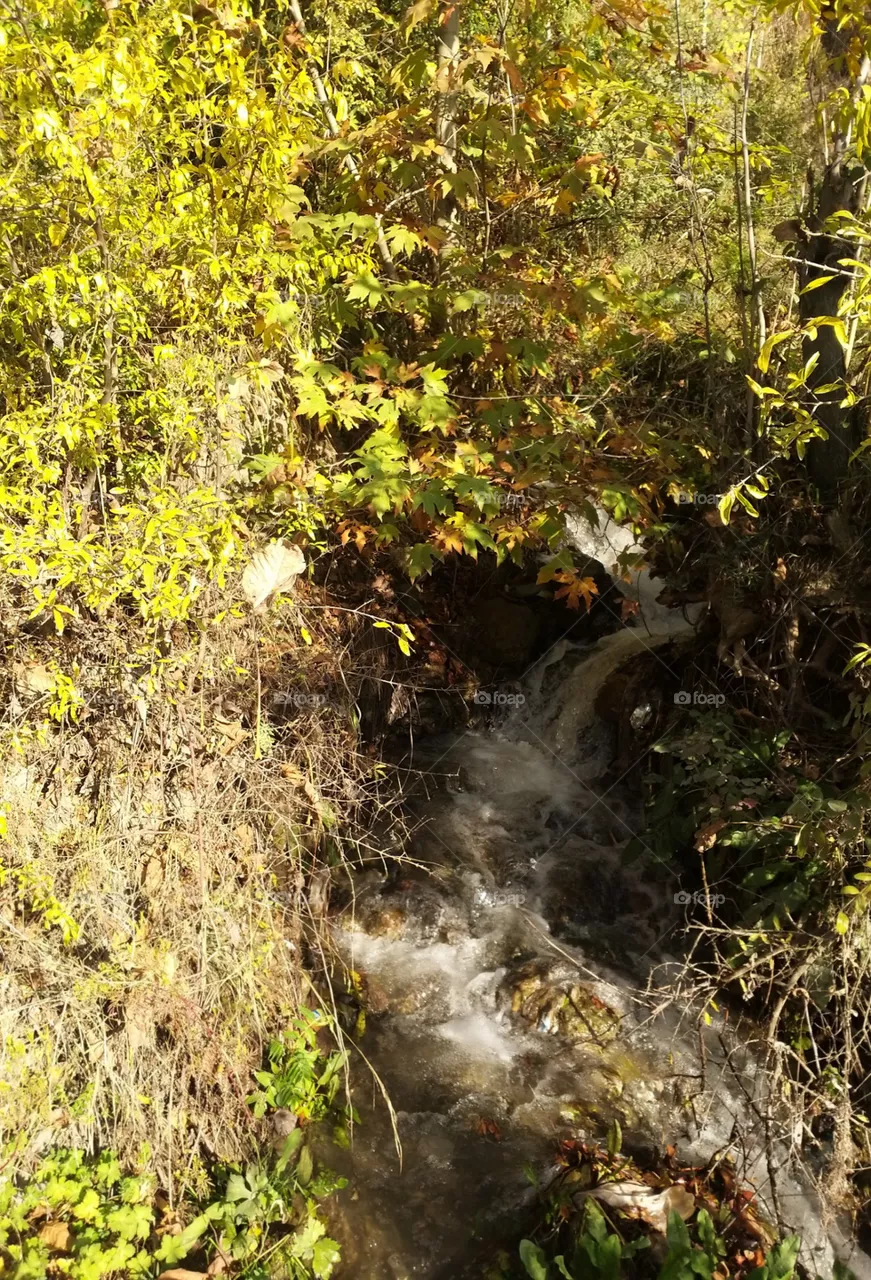 falls water