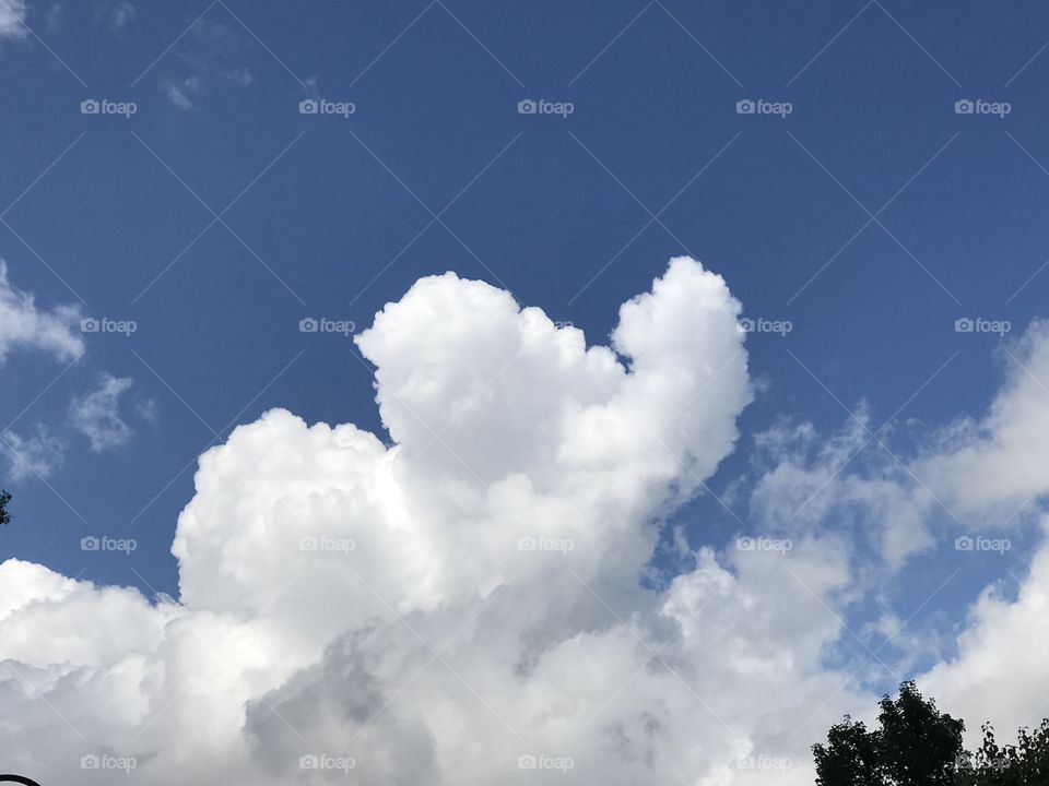 Elephant-shaped clouds on a summer day. Free spirits, nature lovers, and happy hearts will find a serene joy when looking at this photo.