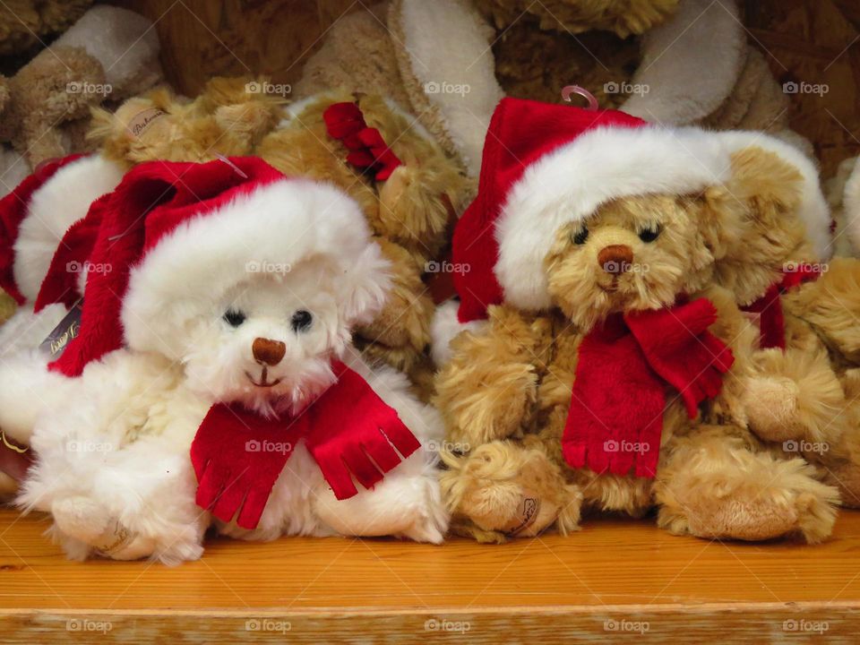Christmas teddies