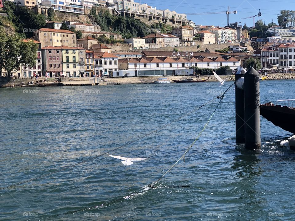 Porto Portugal 