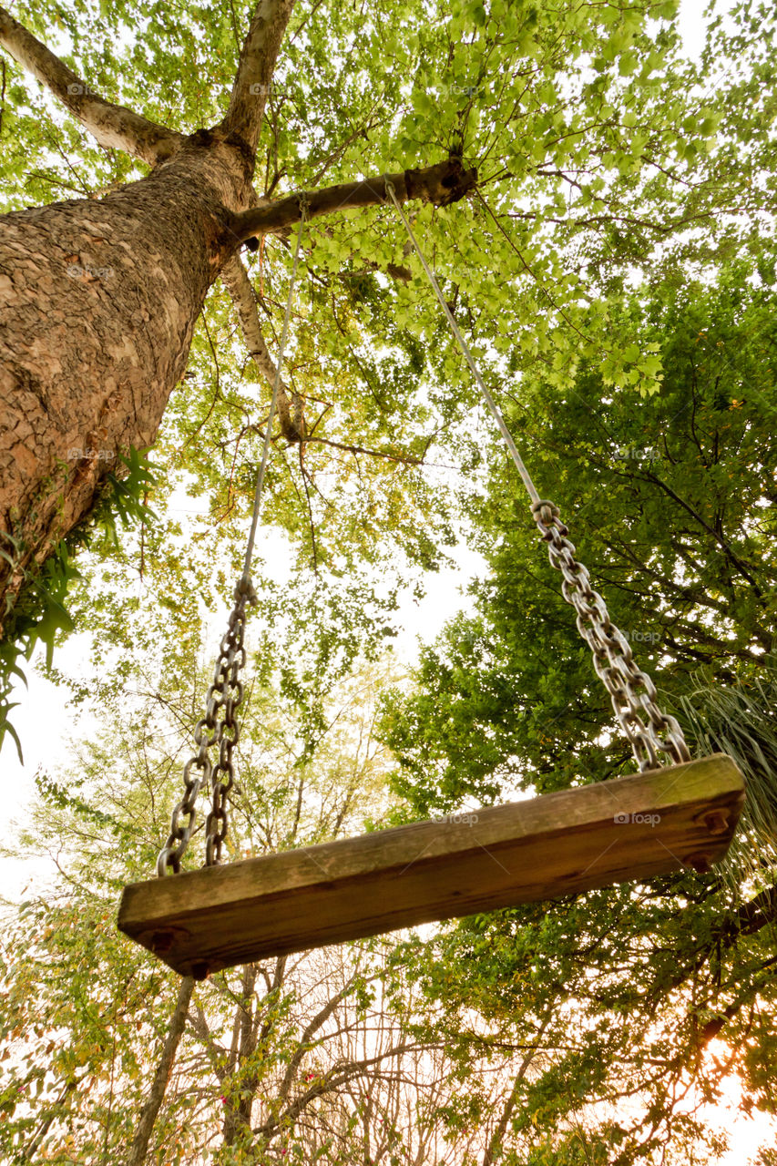 Summer adventure through the eyes of a child. Summer is about having fun, being outdoors and trying new things. Wooden swing hanging from a tree, image from below.