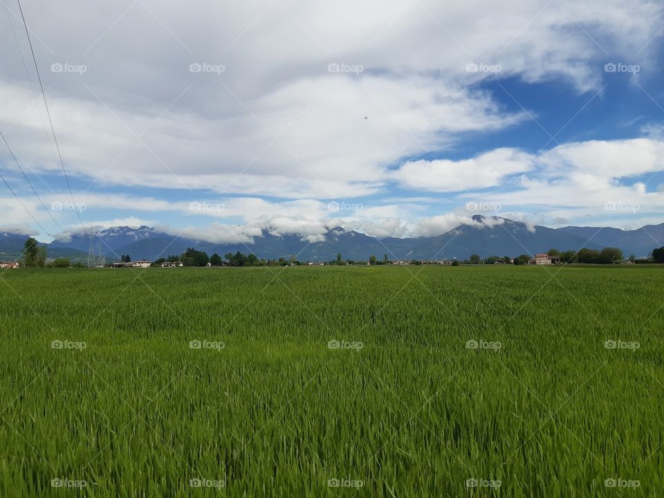 green field under white clouds