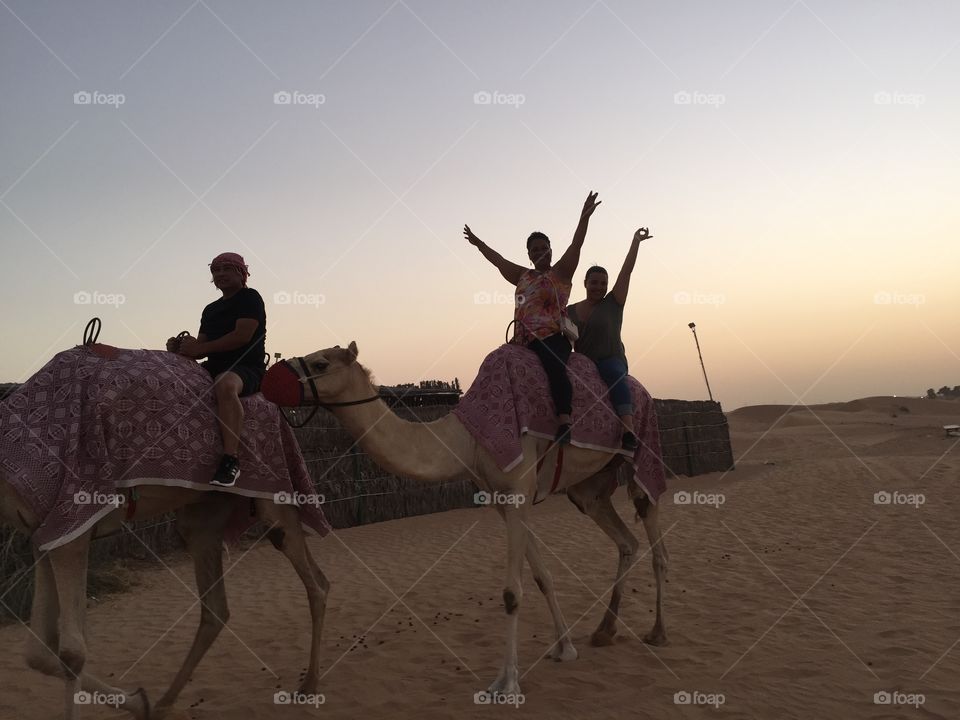 Camel ride, sunset, desert