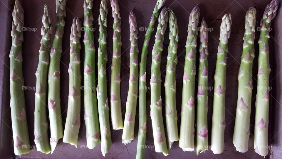 asparagus line up