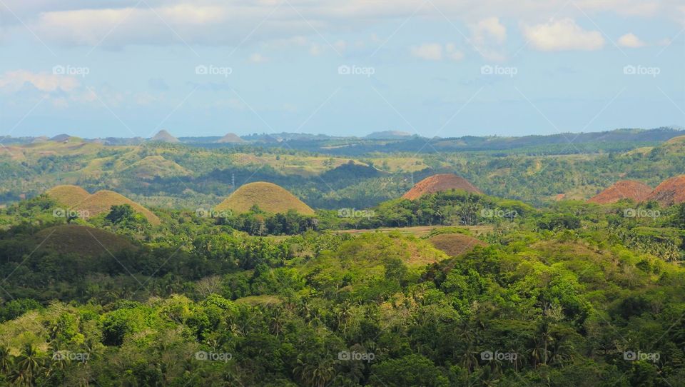 Panoramic view
