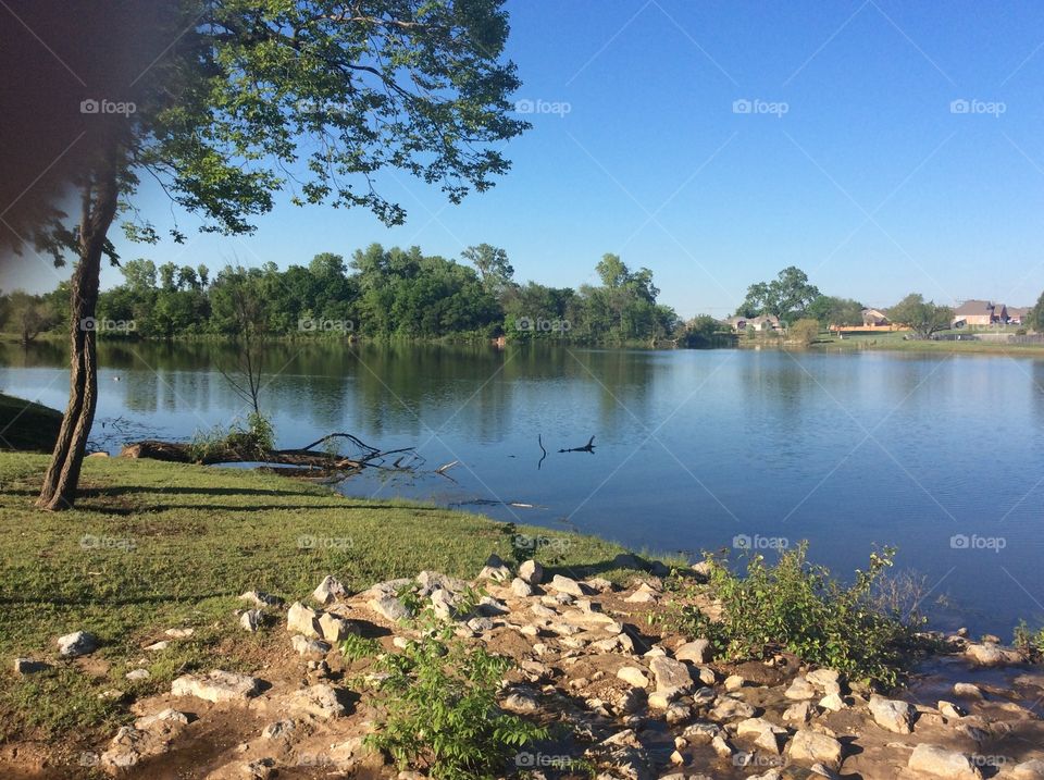 Pond in Norman