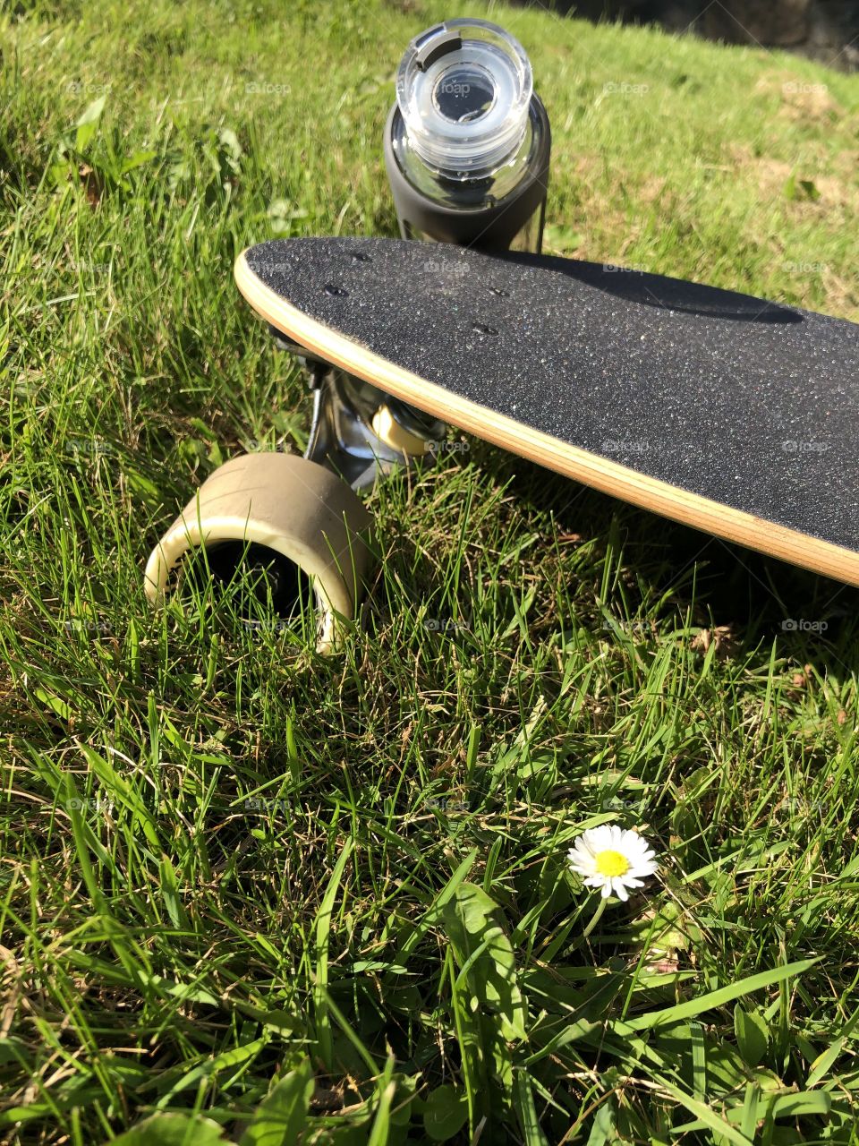 Longboard resting on grass