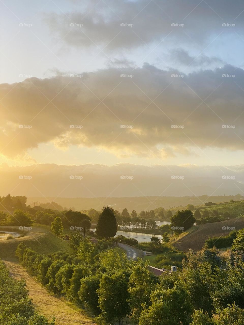 Landscape evening light