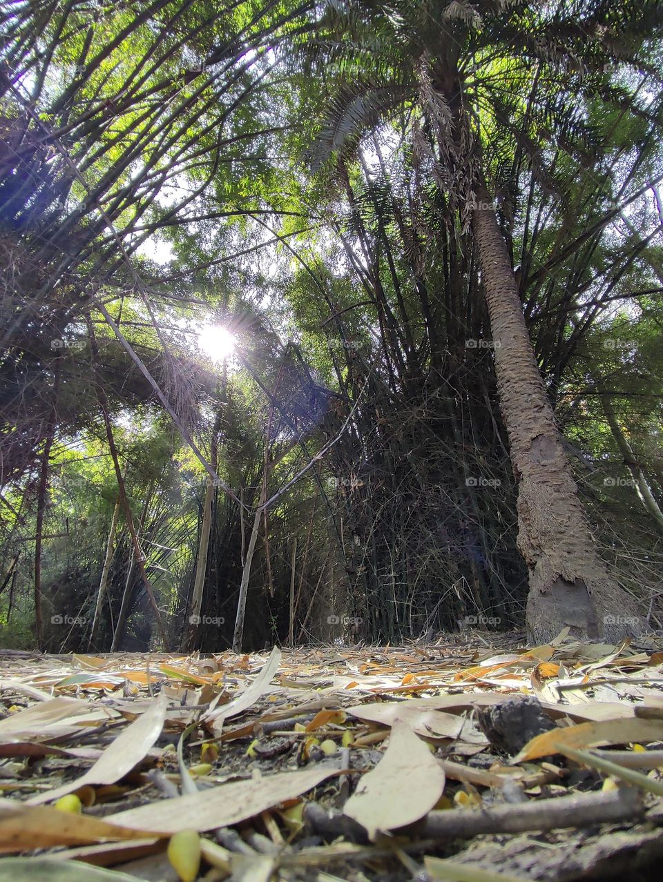 ground level to sun.