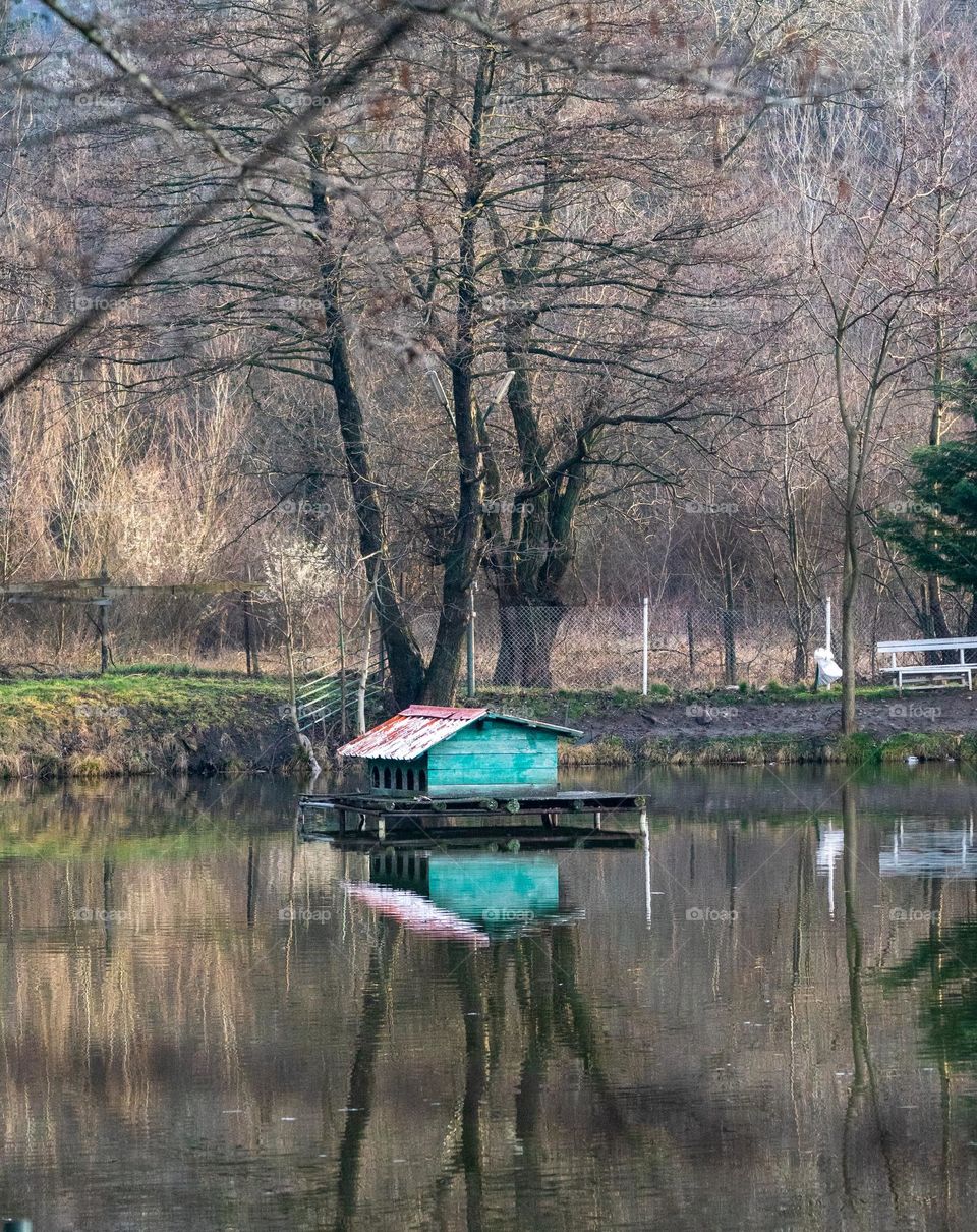 Duck house on the lake