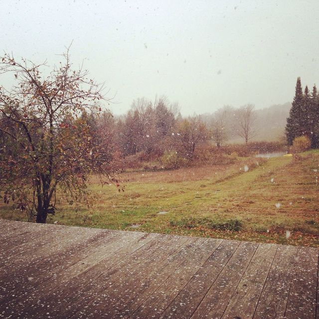 Fresh Flakes