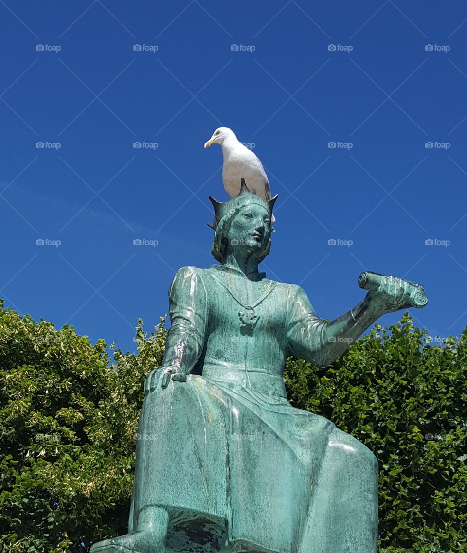 Gull on statue