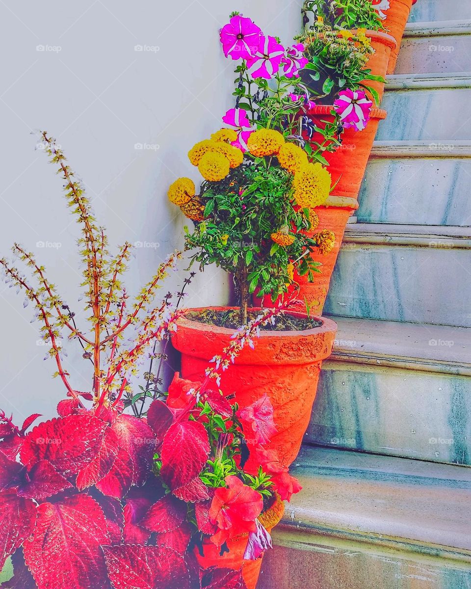 mobile series:plants