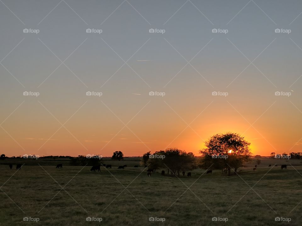 Sunset at the ranch