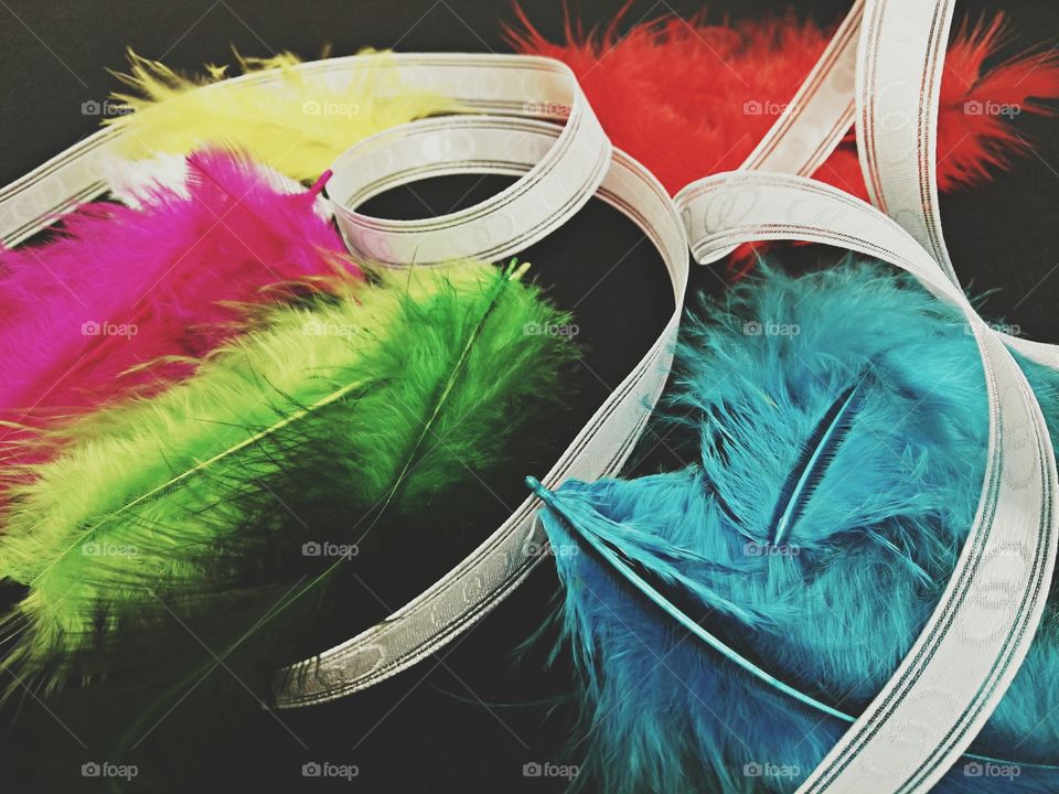 colorful feathers