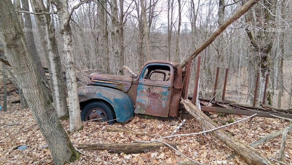 Blue Ford farm truck. Long abandoned and left to rot