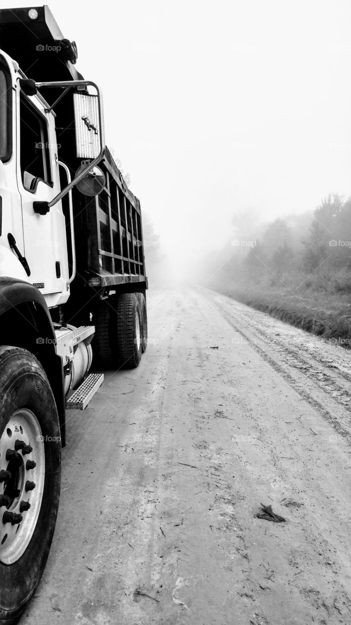 foggy road