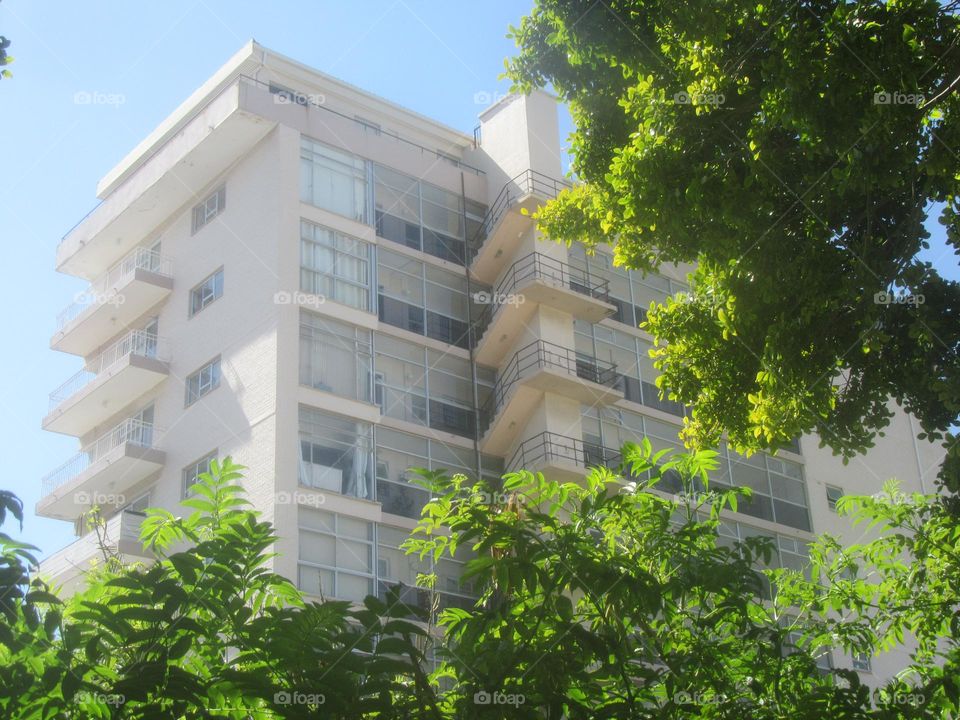 building between trees