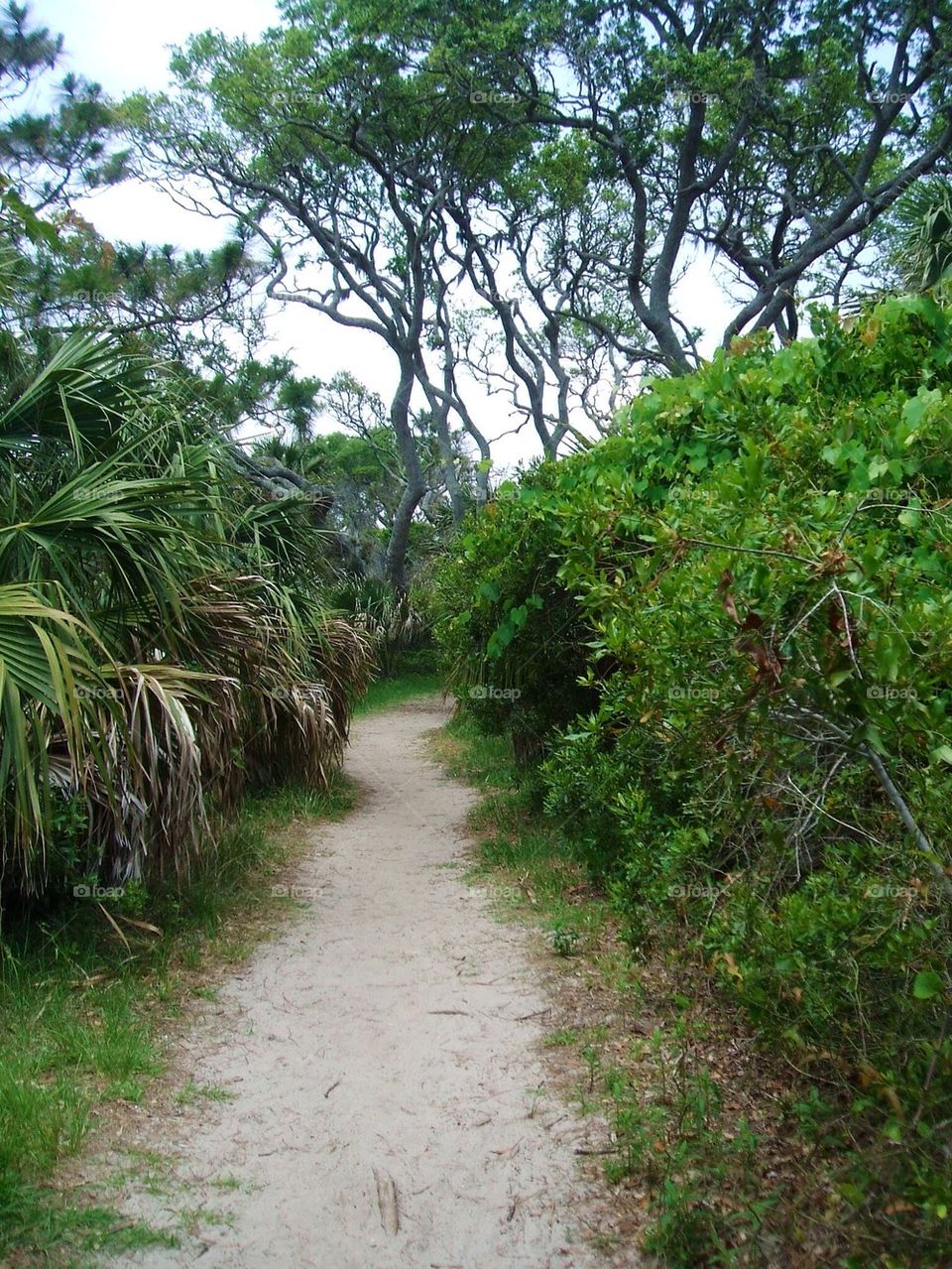 Pathway