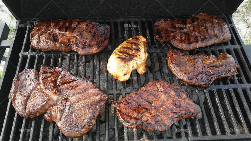 The lone chicken....