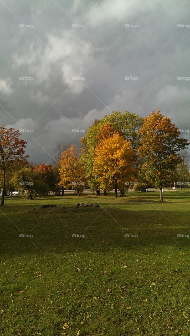 Beautiful day without sunshine.