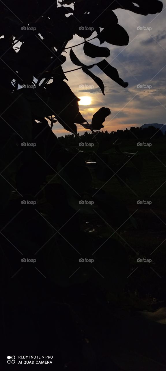 The sun looks so beautiful