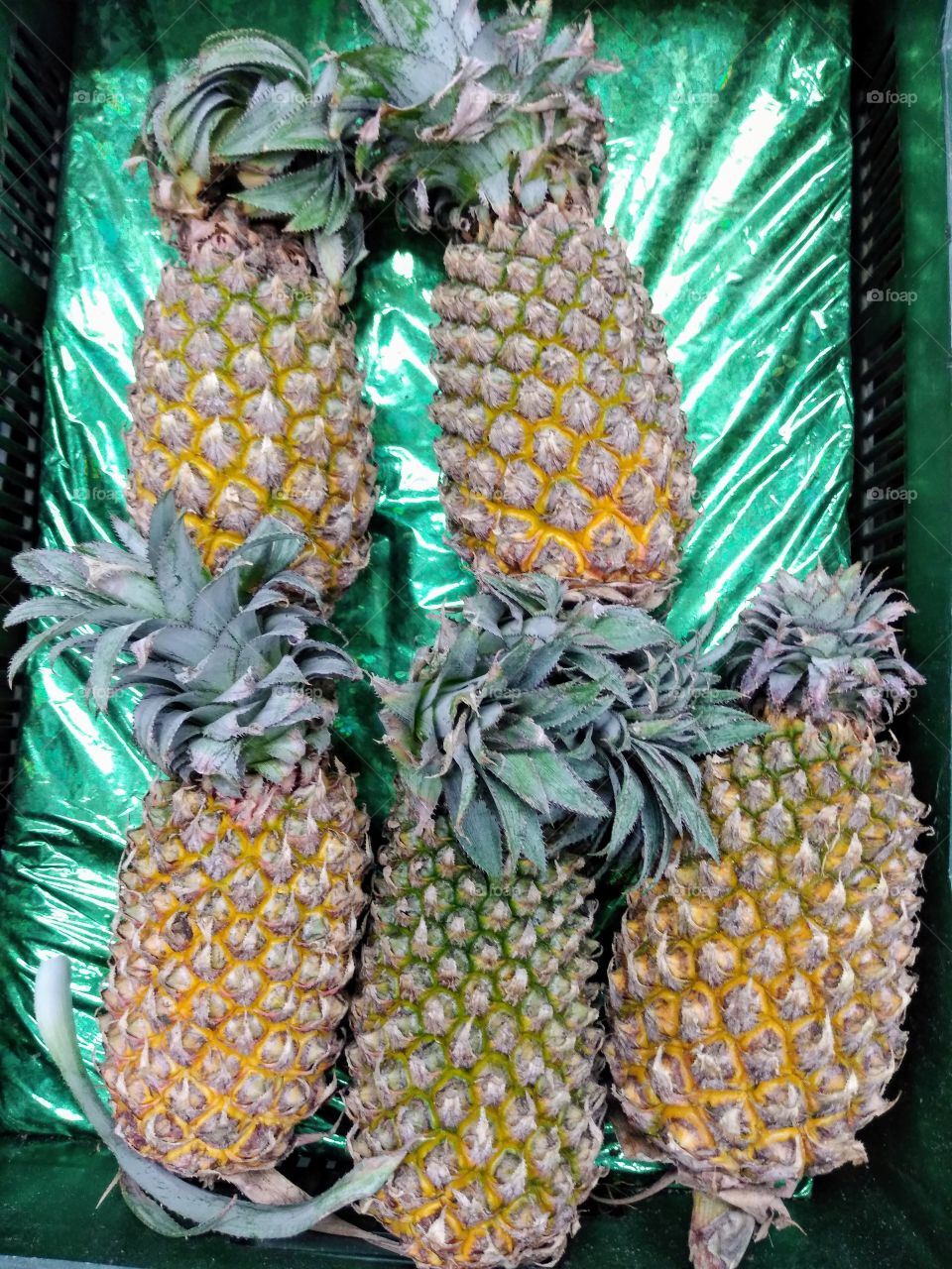 pineapples