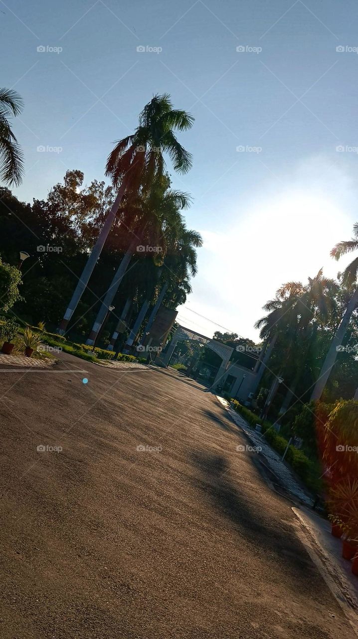 That's a cool shot of a person cruising on a motorcycle next to a skyscraper.