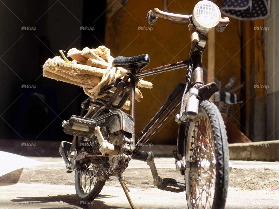 Looking for firewood