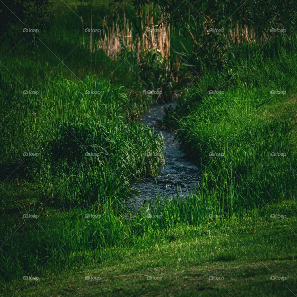 Small ditch flowing with water.