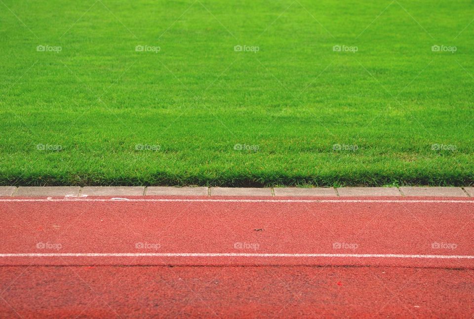 Field, Stadium, No Person, Football, Grass