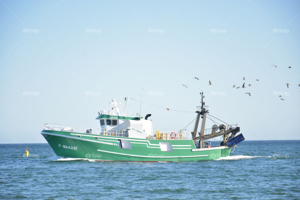 Морское судёнышко за которым летят чайки в надежде своровать рыбу