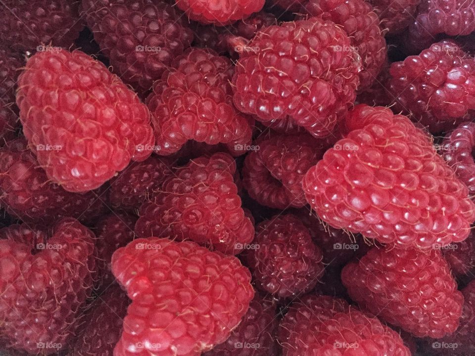High angle view of raspberries
